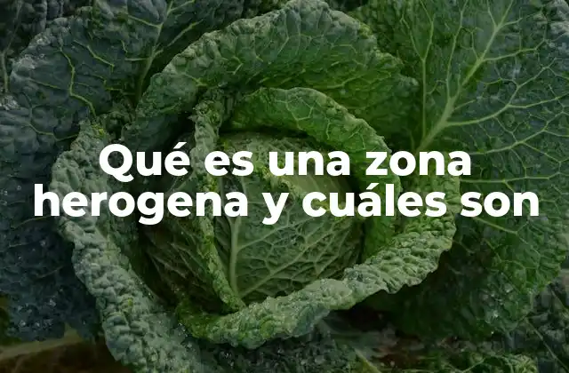 Qué es una Zona Herogena y Cuáles Son
