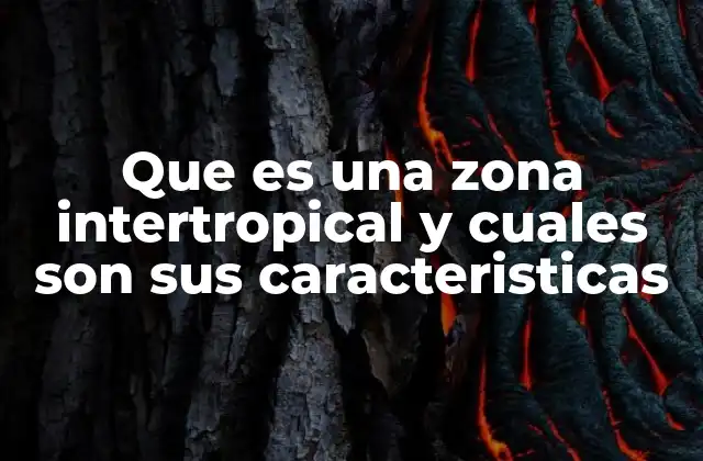 Que es una Zona Intertropical y Cuales Son Sus Caracteristicas