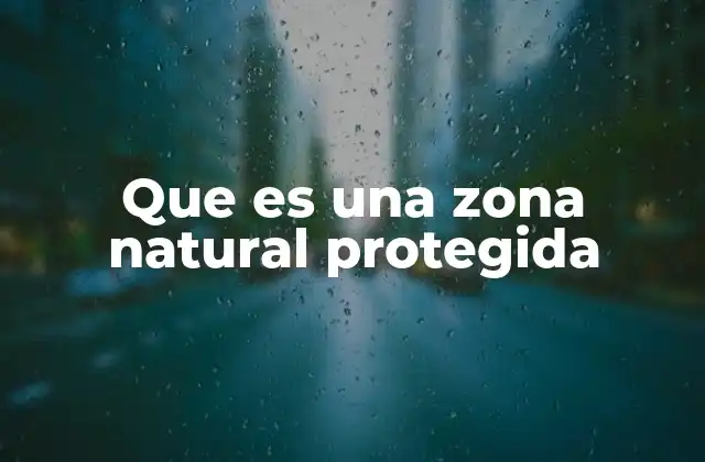 Que es una Zona Natural Protegida