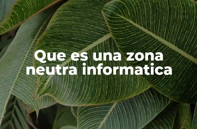 Que es una Zona Neutra Informatica