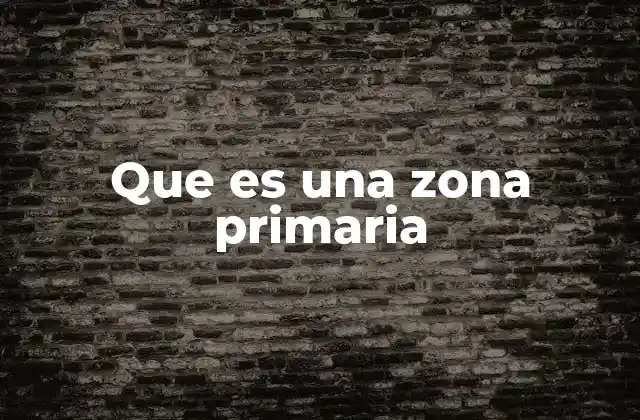 Que es una Zona Primaria