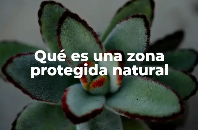 Qué es una Zona Protegida Natural