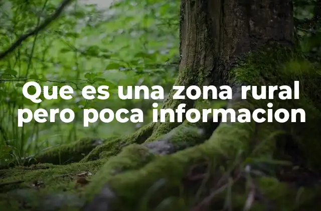 Que es una Zona Rural pero Poca Informacion