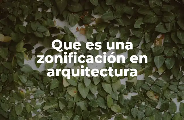 Que es una Zonificación en Arquitectura