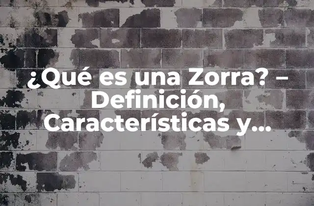 ¿qué es una Zorra? – Definición, Características y Curiosidades