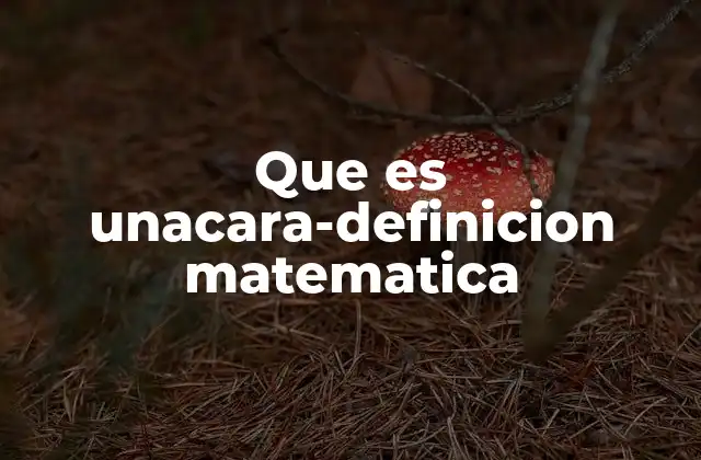 Que es Unacara-definicion Matematica