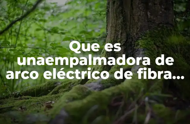 Que es Unaempalmadora de Arco Eléctrico de Fibra Optica