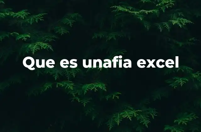 Que es Unafia Excel