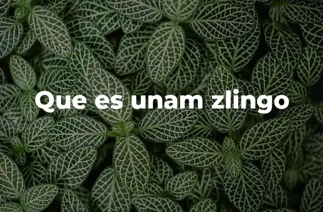 Que es Unam Zlingo