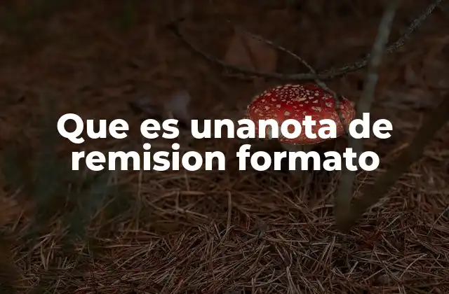 Que es Unanota de Remision Formato