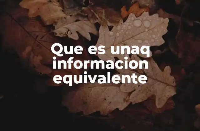 Que es Unaq Informacion Equivalente
