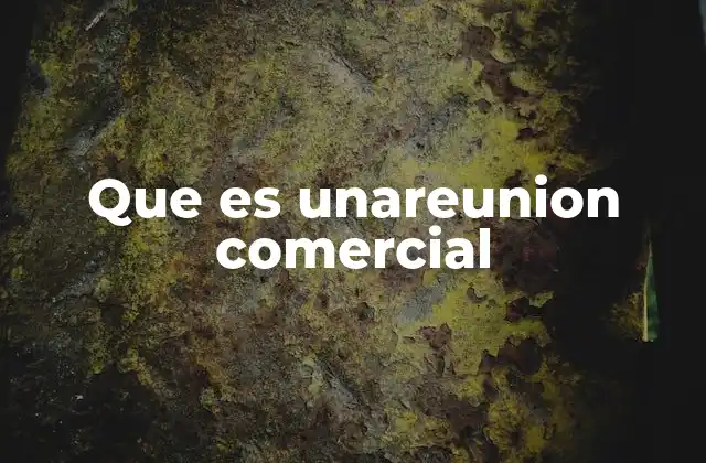 Que es Unareunion Comercial
