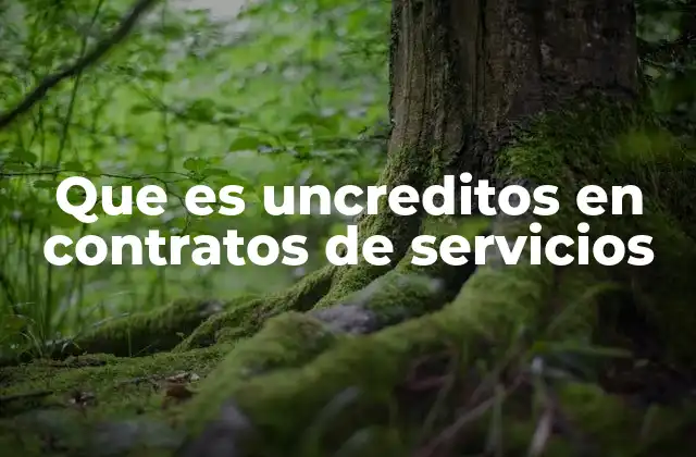 Que es Uncreditos en Contratos de Servicios
