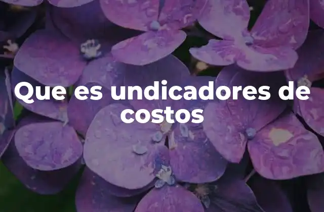 Que es Undicadores de Costos