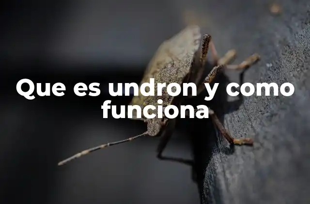 La importancia de comprender las herramientas tecnológicas modernas