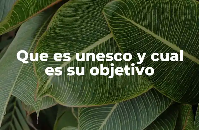 Que es Unesco y Cual es Su Objetivo
