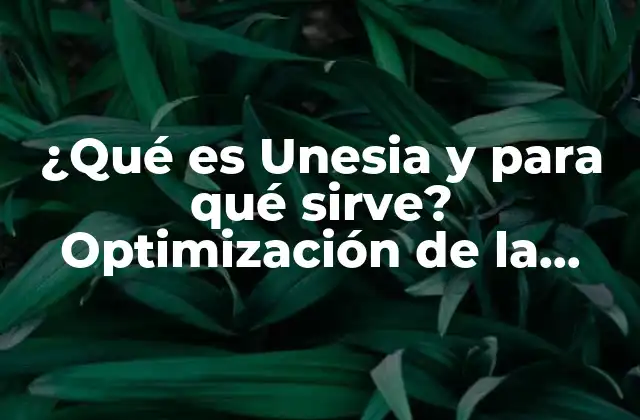 ¿qué es Unesia y para Qué Sirve? Optimización de la Cadena de Suministro
