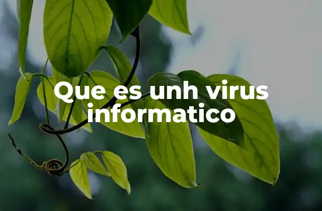 Cómo se comporta un virus informático en un sistema