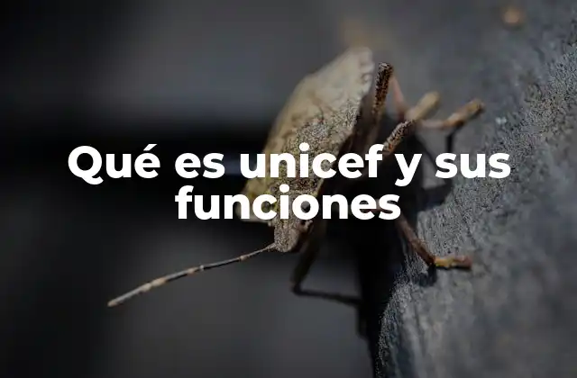 Qué es Unicef y Sus Funciones