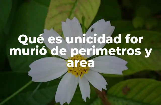 Qué es Unicidad For Murió de Perimetros y Area