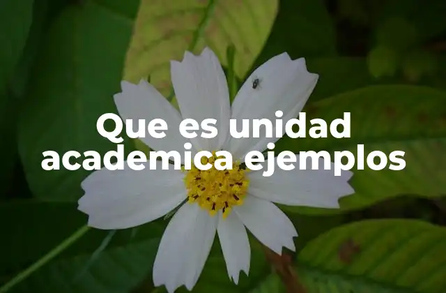 Que es Unidad Academica Ejemplos