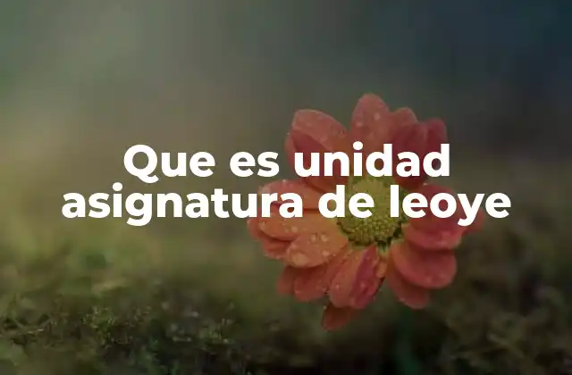 Cómo las unidades asignatura de leoye mejoran el aprendizaje