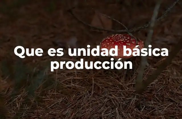 Que es Unidad Básica Producción