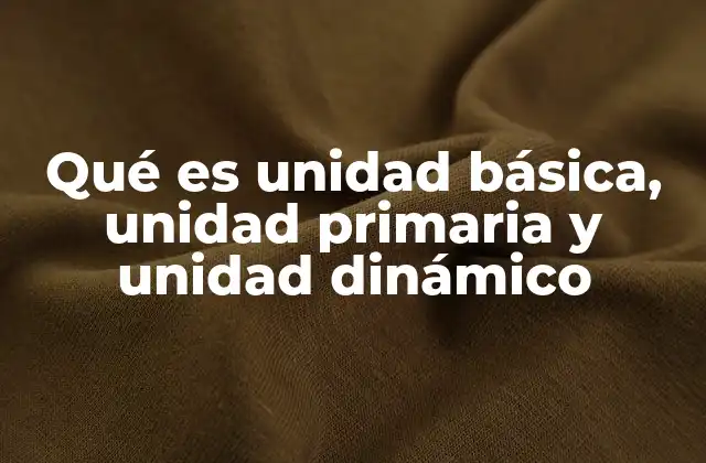 Qué es Unidad Básica, Unidad Primaria y Unidad Dinámico