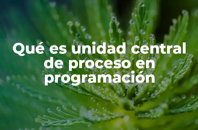 El papel de la CPU en la ejecución de programas