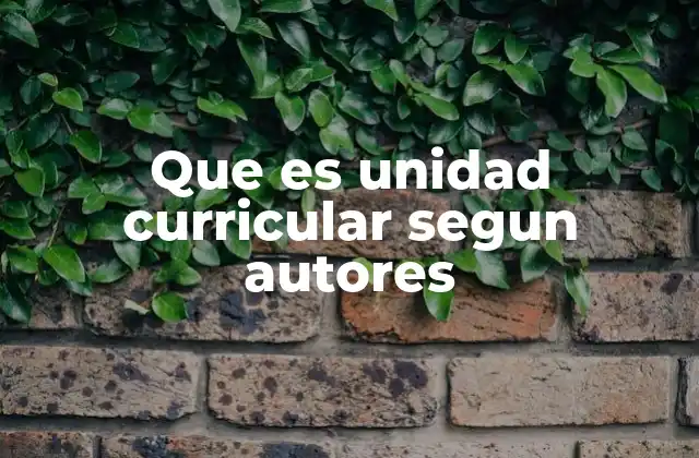 Que es Unidad Curricular Segun Autores