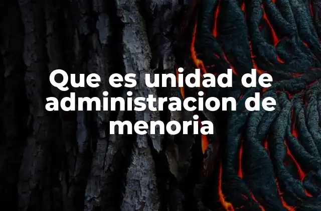 Que es Unidad de Administracion de Menoria