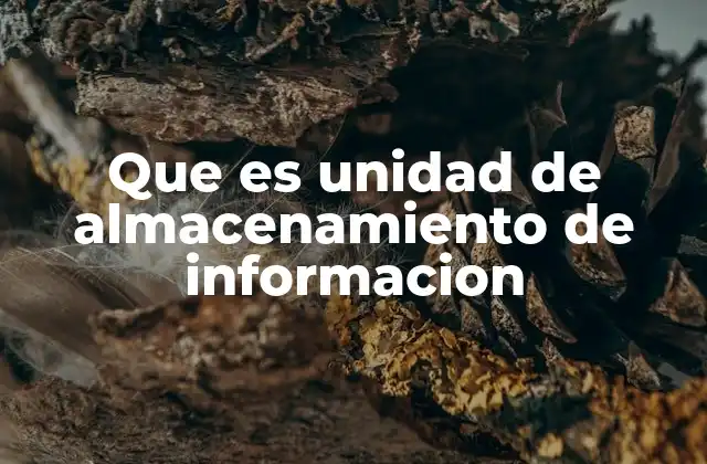 Que es Unidad de Almacenamiento de Informacion