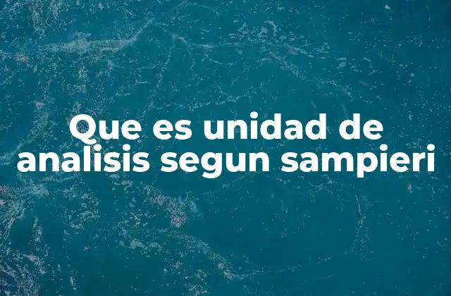 El papel de la unidad de análisis en la metodología de la investigación