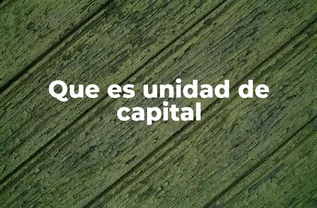Que es Unidad de Capital
