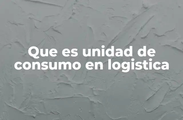 Que es Unidad de Consumo en Logistica
