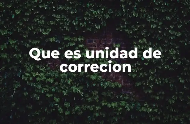 La importancia de la corrección en sistemas complejos