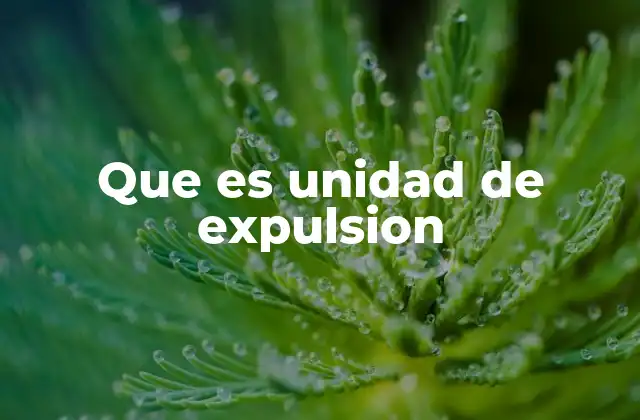 Aplicaciones de las unidades de expulsión en diferentes campos