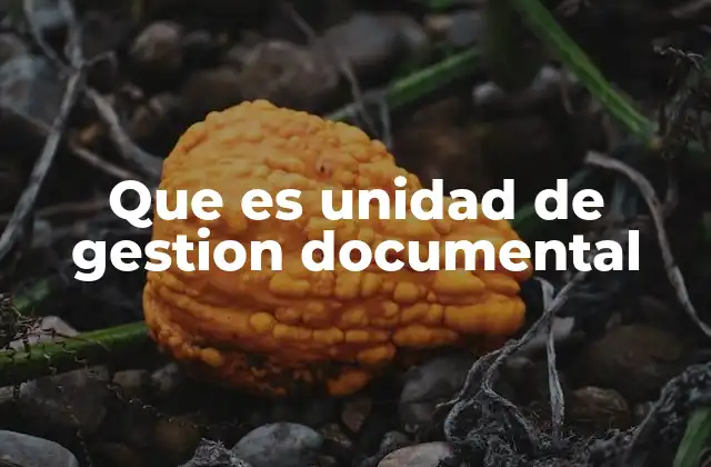 Que es Unidad de Gestion Documental