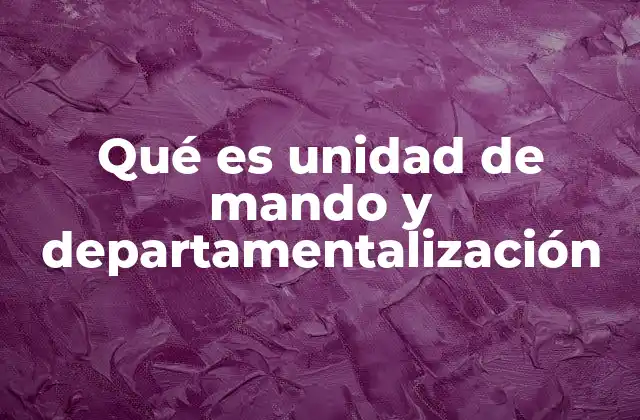 Qué es Unidad de Mando y Departamentalización