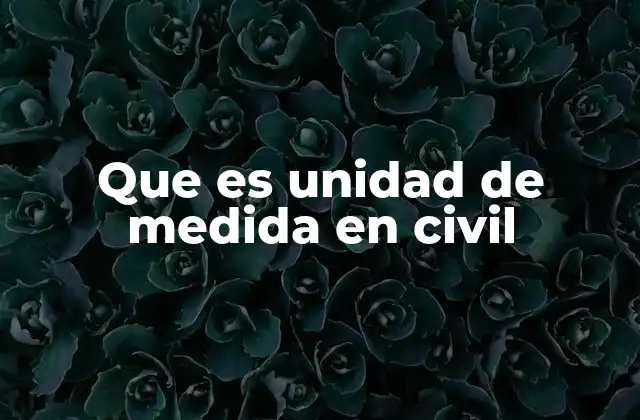 Que es Unidad de Medida en Civil