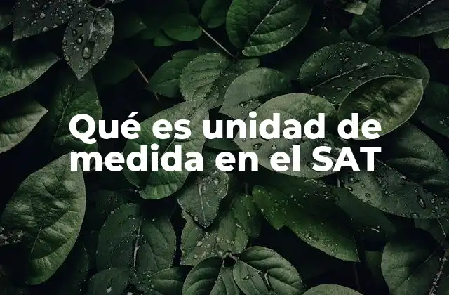 Qué es Unidad de Medida en el Sat