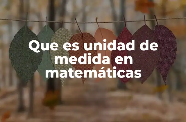 Que es Unidad de Medida en Matemáticas