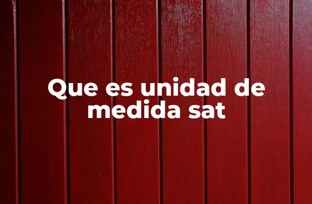 Que es Unidad de Medida Sat