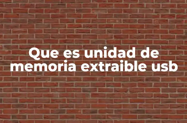 Que es Unidad de Memoria Extraible Usb