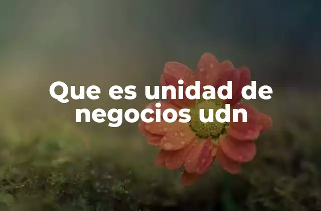 Que es Unidad de Negocios Udn