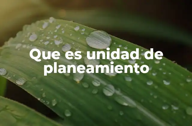 Que es Unidad de Planeamiento