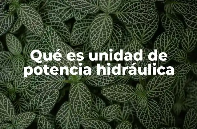 Qué es Unidad de Potencia Hidráulica