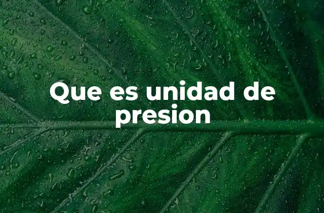 Que es Unidad de Presion