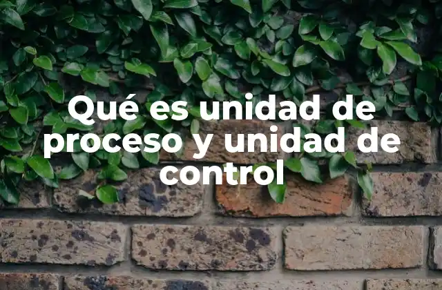 Qué es Unidad de Proceso y Unidad de Control