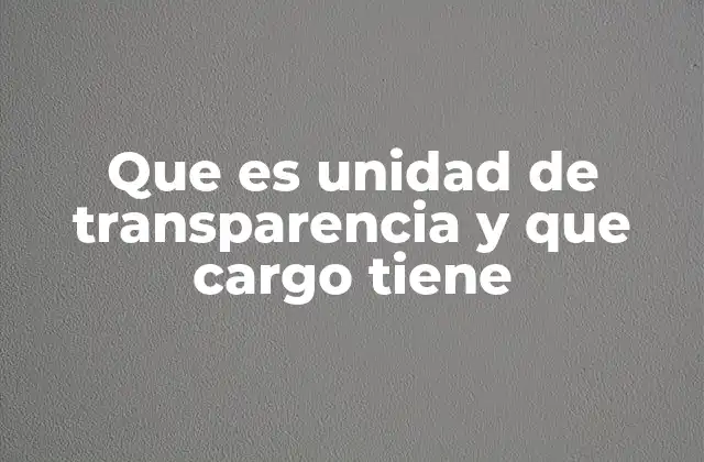 Que es Unidad de Transparencia y que Cargo Tiene